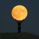 정상체육관 이미지