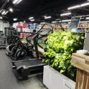 이동근 바디퍼포먼스 이미지