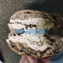 지에스25 등촌월드점 이미지