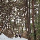 서해랑길 64코스 이미지