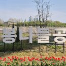 머리쉼터 이미지