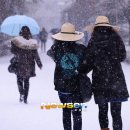 일석이조 뉴스엔
