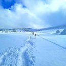 12월23~25일(무박1박3일)제주도 한라산, 윗세오름 눈산행 이미지