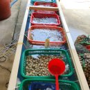 갯바위펜션 이미지