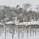 백화산입구(삭선리) 이미지