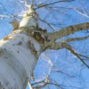 솔로몬부동산 이미지