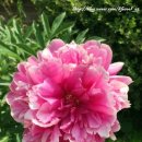 내면중학교 이미지