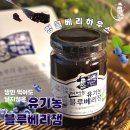 엉클스토어 이미지