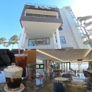 피노펠리즈 이미지