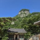 하늘다리 | 경북 봉화군 청량산 도립공원 장인봉/하늘다리 산행 후기(2026.07.12)