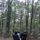 형제농원 이미지