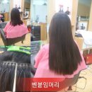 붙임머리 - 동대문구 | 붙임머리