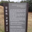 장승리 고분군 네이버블로그