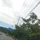 수배농장 이미지