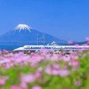 신비섬여관 이미지