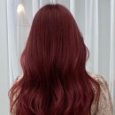 더설렘헤어 이미지