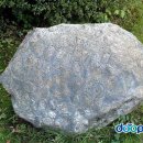 상주 운평리 구상화강암 이미지