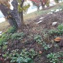 모현레스피아 야구장 화장실 이미지