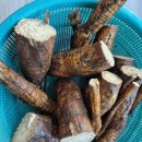 천조공인중개사사무소 이미지