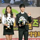 애니멀즈 이미지