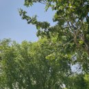 삼락주유소 이미지