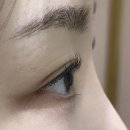 네일팜 이미지