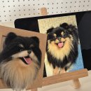 영운초등학교 | 김해 원데이클래스 공방 쪼선생펫아트 반려동물 양모인형 액자 만들기