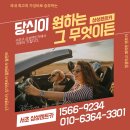투투렌트카 이미지