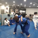 팀케이 유도 멀티짐 이미지