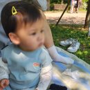 18 | 🌳 [일상] 18개월 아기랑 어린이 날 서울 어린이 대공원 방문 후기