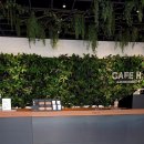 현대카라인 | 현대백화점 무역센터점 카페H 그린고객 무료음료쿠폰 이용후기 (꿀자몽블랙티, 루이보스카라멜티)