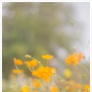 송현공원 이미지