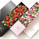 로즈그레이스 이미지