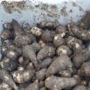 풍성농장 이미지