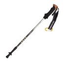 라이프스포츠 이미지