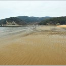 서포리 해수욕장 Daum카페