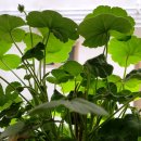 노블레스노마드 이미지