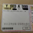 브이즈 | [포켓몬빵 리뷰/후기/언박싱]포켓몬빵 랜덤 배송 박스 개봉기