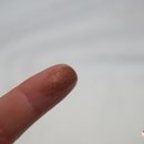 데일리브라운 이미지