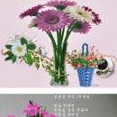 김종삼약국 이미지