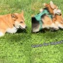 애정에너지 이미지