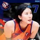 독스 윙스 이미지