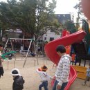 배인유치원 이미지