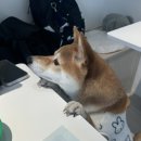 부흥로351번길 이미지