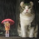 걸리버