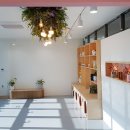 서산시동물보호센터 이미지