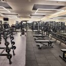 라인짐 휘트니스 평촌점 이미지