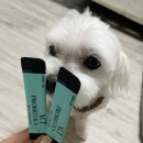 더 에이스랩 이미지