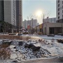 포레자이공인중개사사무소 | 화성부동산 궁금증으로 향하는 길에 신동탄 포레 자이를 발견하다