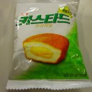 카스타트